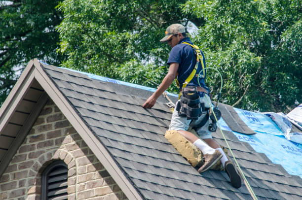 Best Affordable Roofing Company  in Fort Lewis, WA